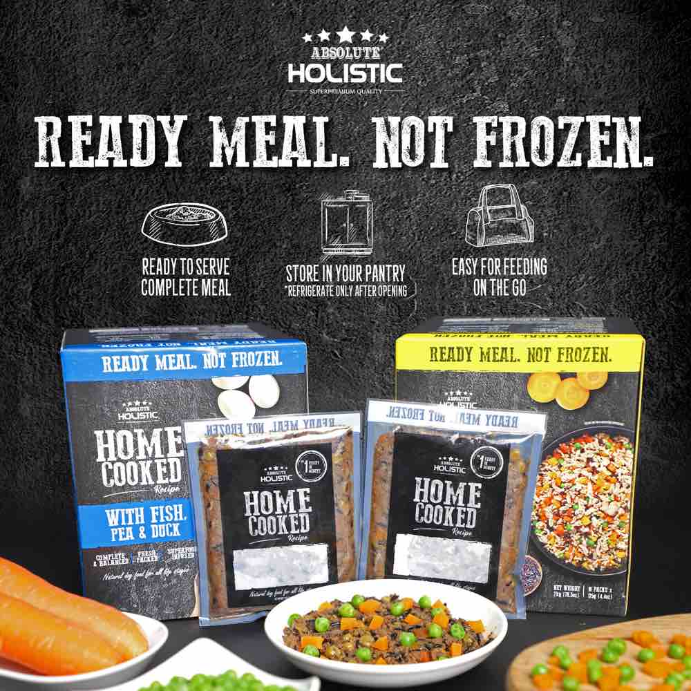 "UP TO 35% OFF: Absolute Holistic Home Cooked Recipe Duck, Peas & Pumpkin Wet Dog Food"
