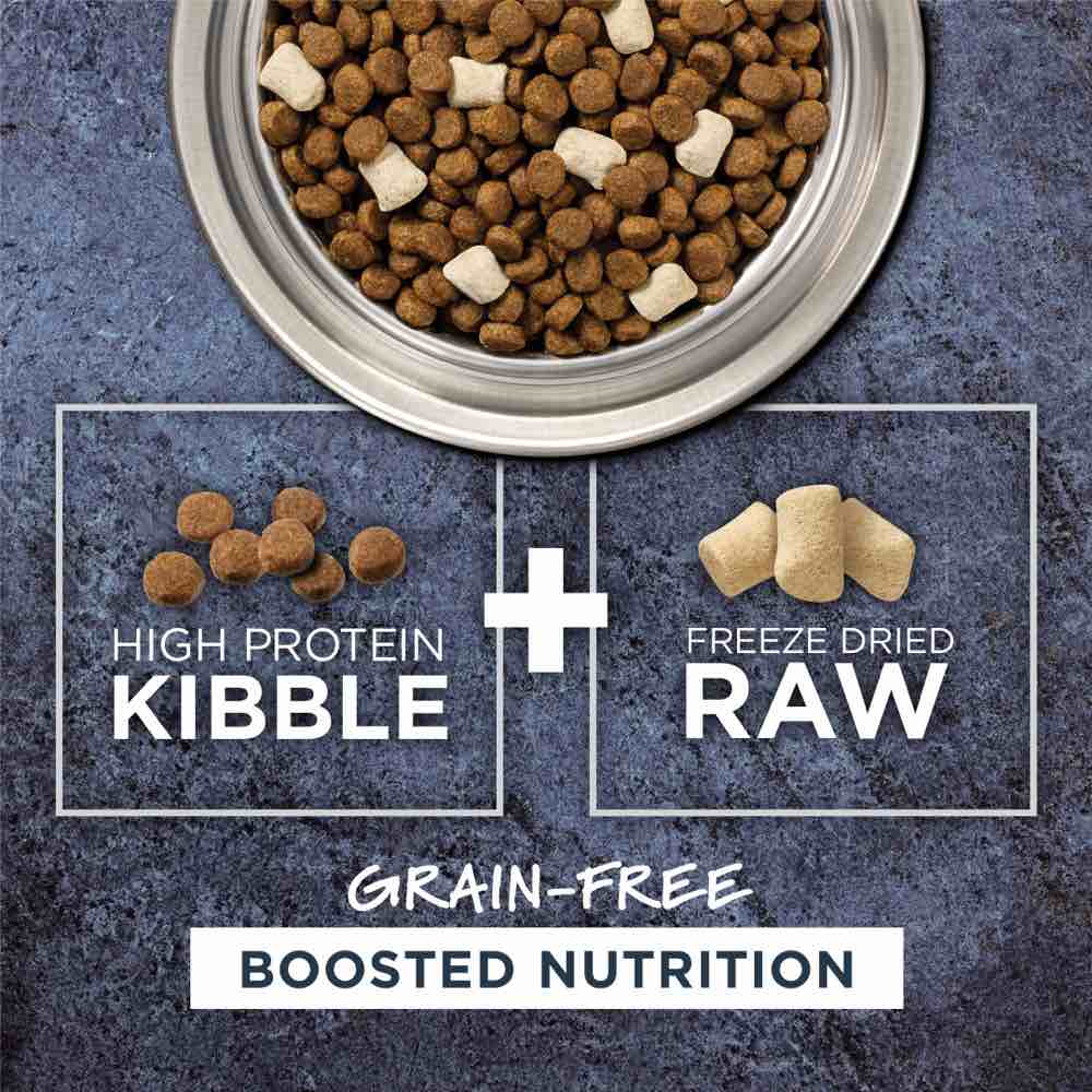Instinct Raw Boost Salmon Grain-Free Dry Dog Food 4lb (Exp 17Jan2026)