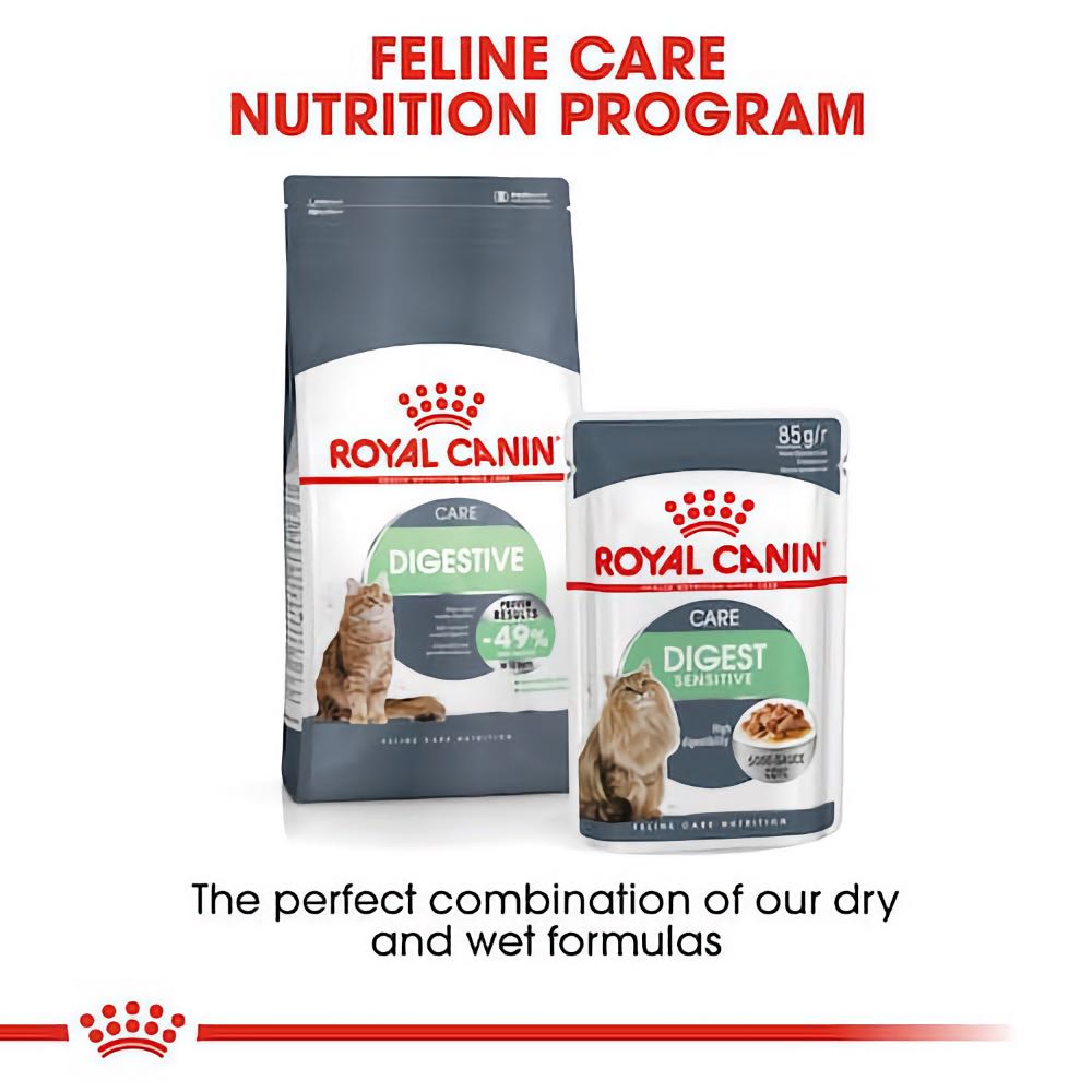 Royal Canin Digestive Care Dry Cat Food
