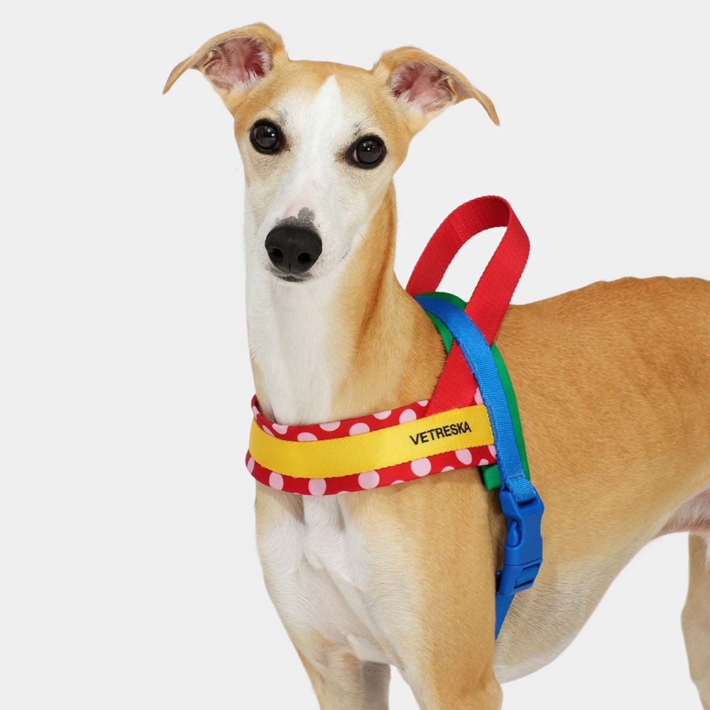 VETRESKA Chroma Dog Harness & Leash Set (Red)